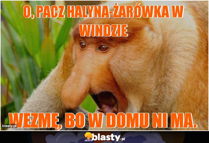 O, pacz halyna-żarówka w windzie