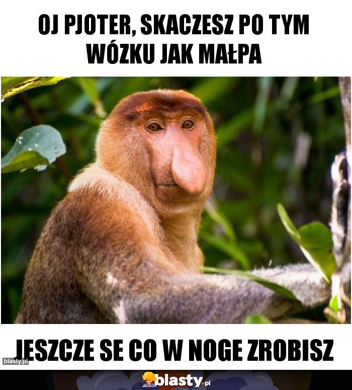 OJ PJOTER, SKACZESZ PO TYM WÓZKU JAK MAŁPA