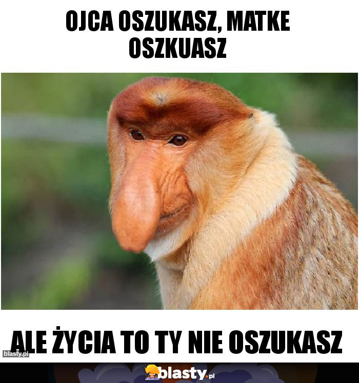 ojca oszukasz, matke oszkuasz