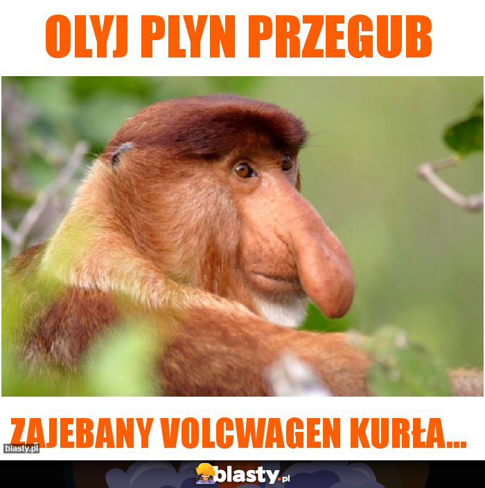 Olyj plyn przegub