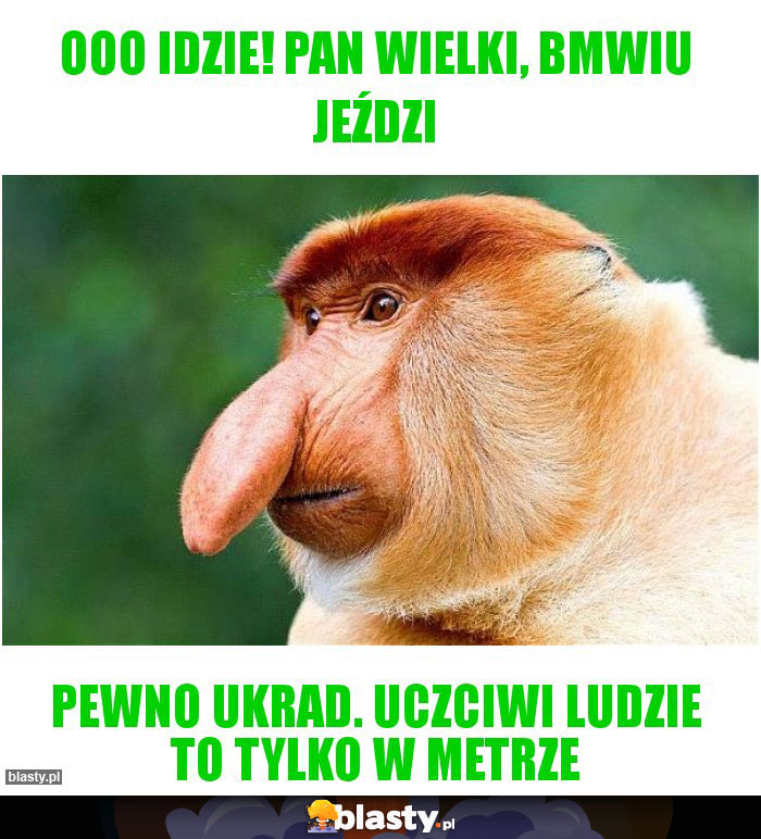 ooo idzie! pan wielki, bmwiu jeździ