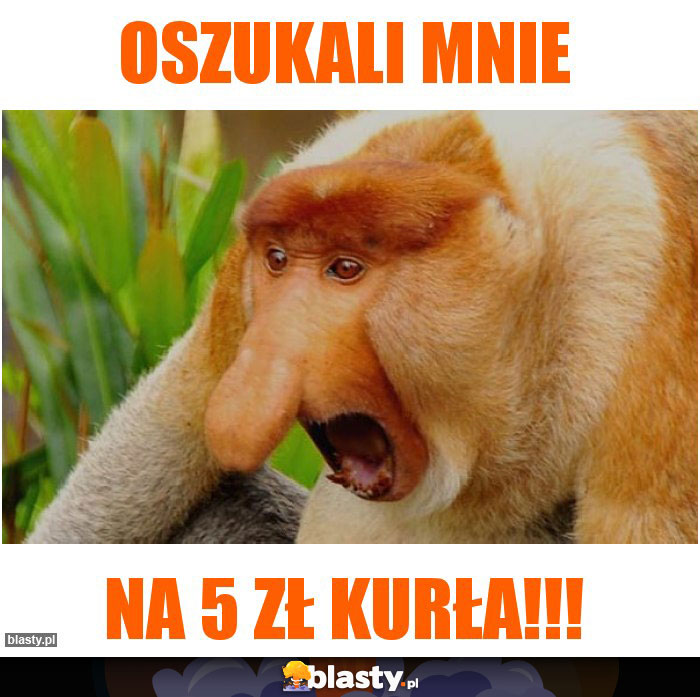 oszukali mnie