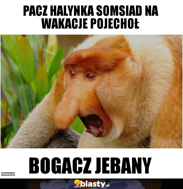 PACZ HALYNKA SOMSIAD NA WAKACJE POJECHOŁ