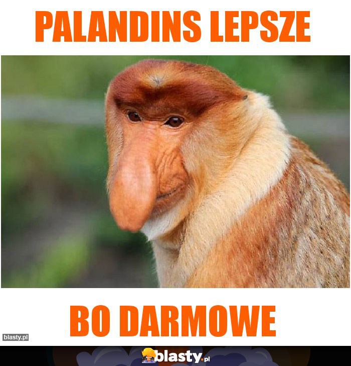 Palandins lepsze