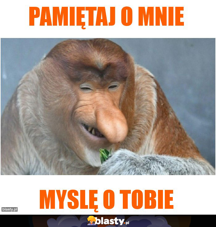 Pamiętaj o mnie