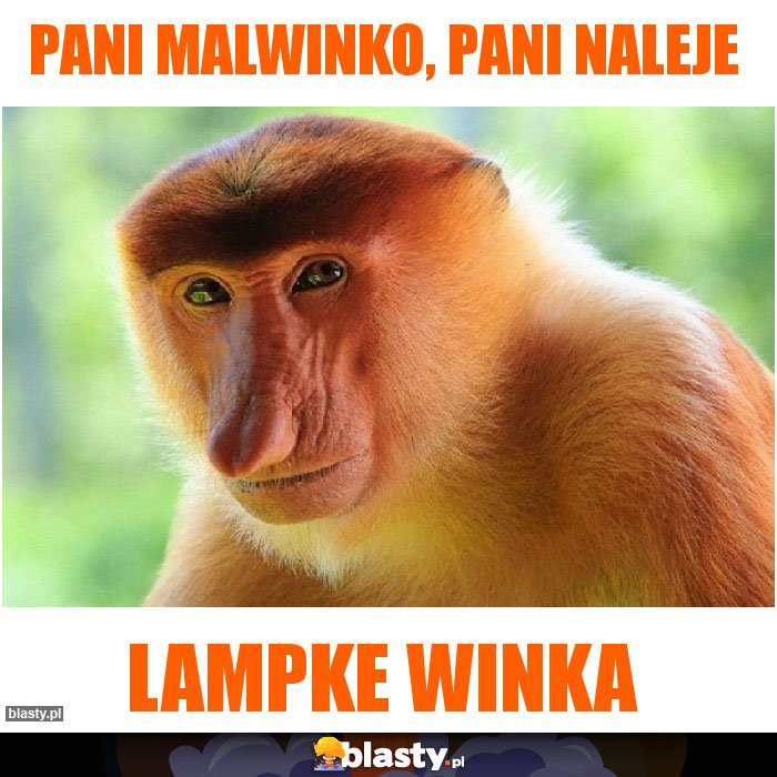 Pani Malwinko, Pani naleje