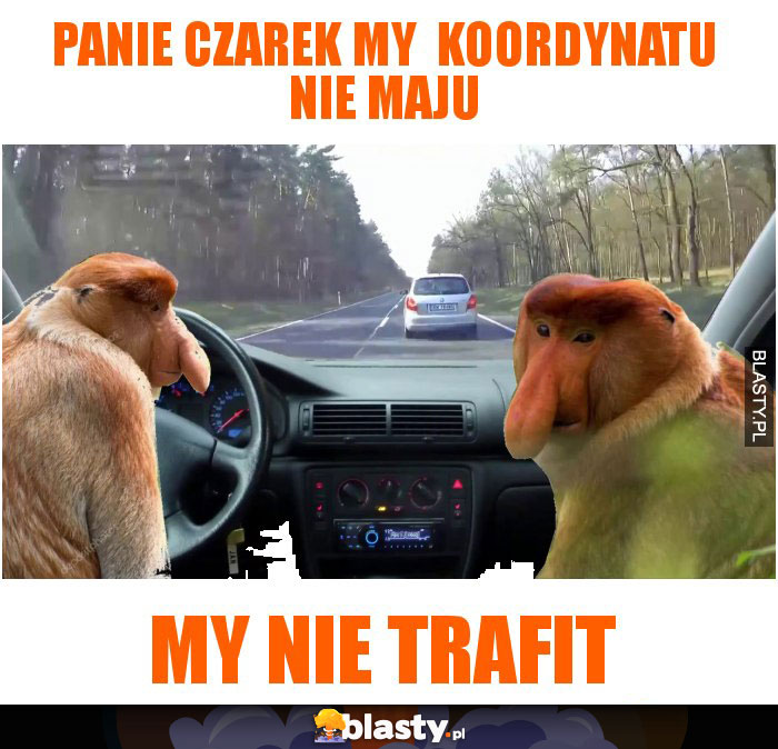 Panie czarek my  koordynatu nie maju