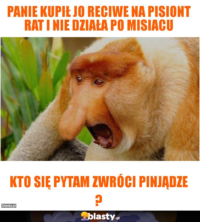 Panie kupił jo reciwe na pisiont rat i nie działa po misiacu