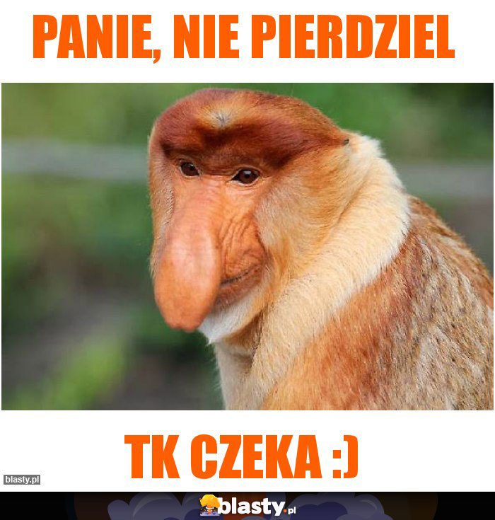 Panie, nie pierdziel