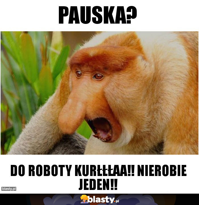 Pauska?