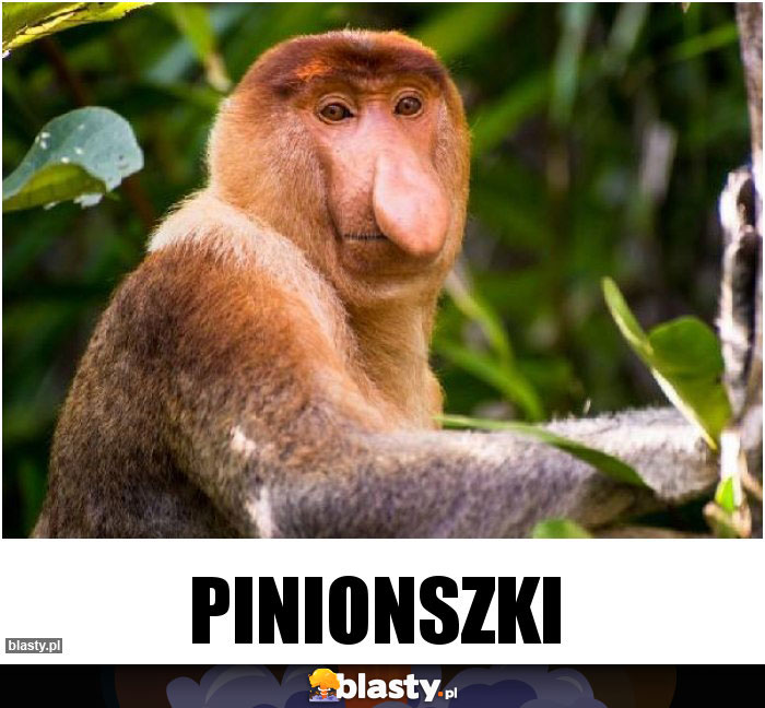 Pinionszki