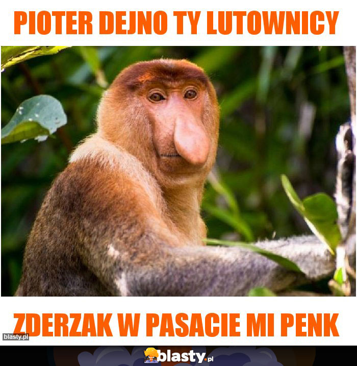 Pioter dejno ty lutownicy