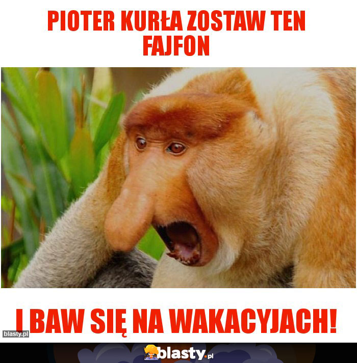 PIOTER KURŁA ZOSTAW TEN fajfon