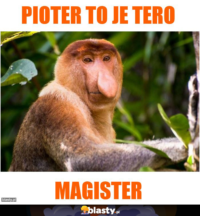 Pioter to je tero