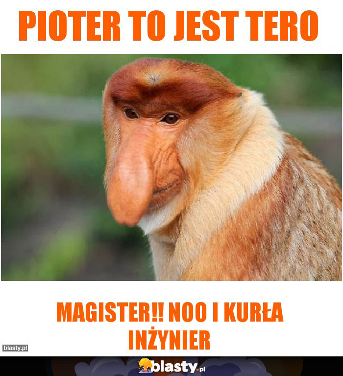 Pioter to jest tero