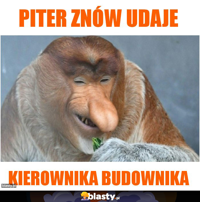 Piter znów udaje