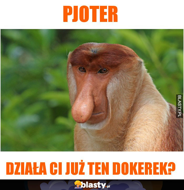 Pjoter