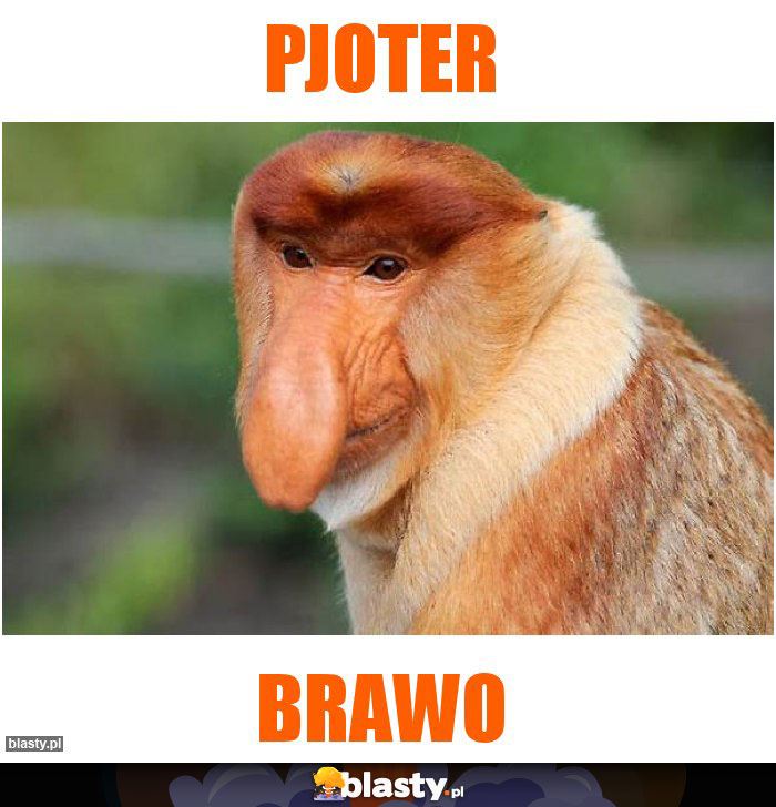 PJOTER