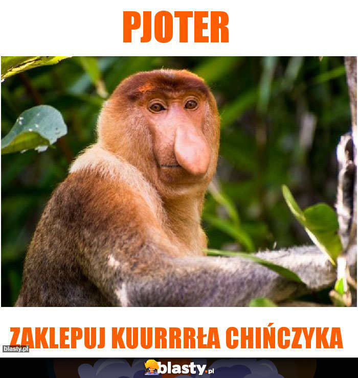 Pjoter