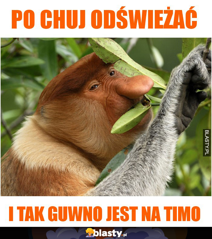 po chuj odświeżać