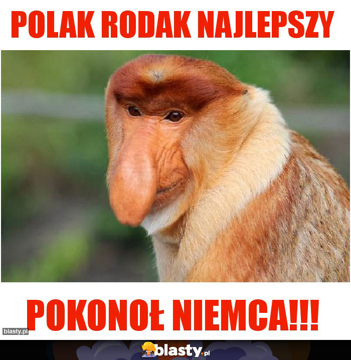 Polak Rodak Najlepszy