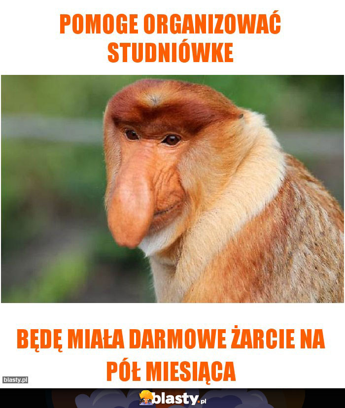 Pomoge organizować studniówke