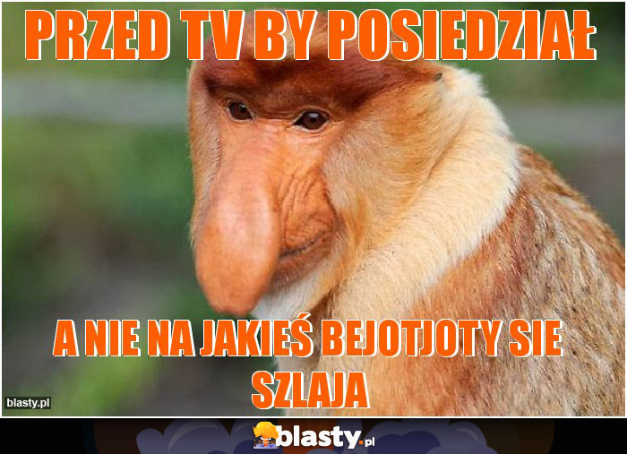 przed tv by posiedział