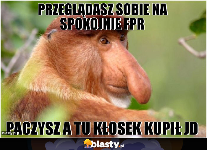 Przeglądasz sobie na spokojnie FPR