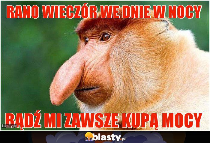 Rano wieczór we dnie w nocy