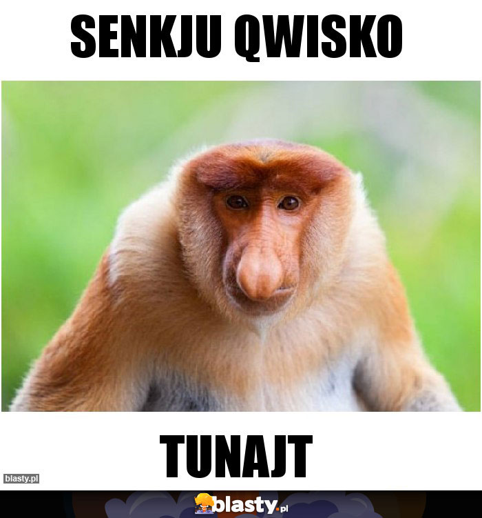 SENKJU QWISKO