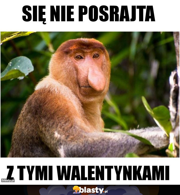 Się nie posrajta