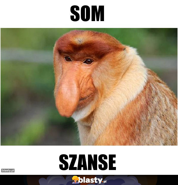 Som