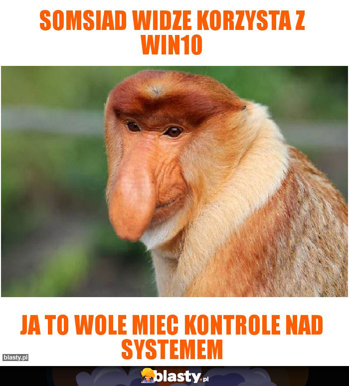 Somsiad widze korzysta z win10