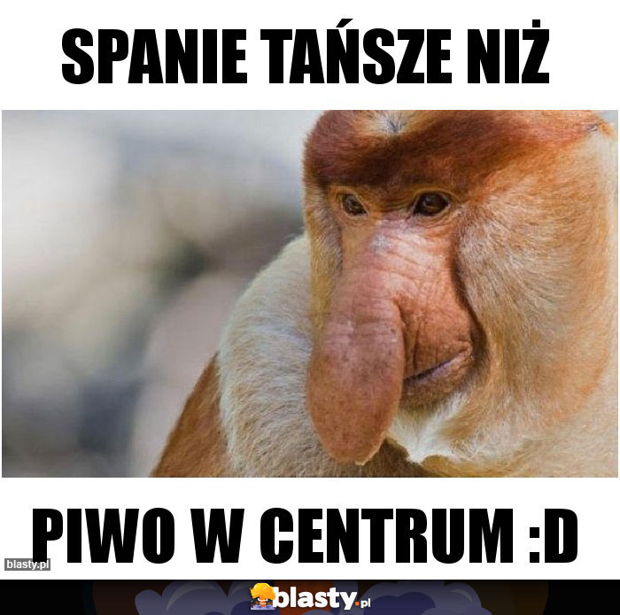 Spanie tańsze niż