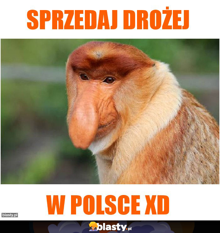 Sprzedaj drożej