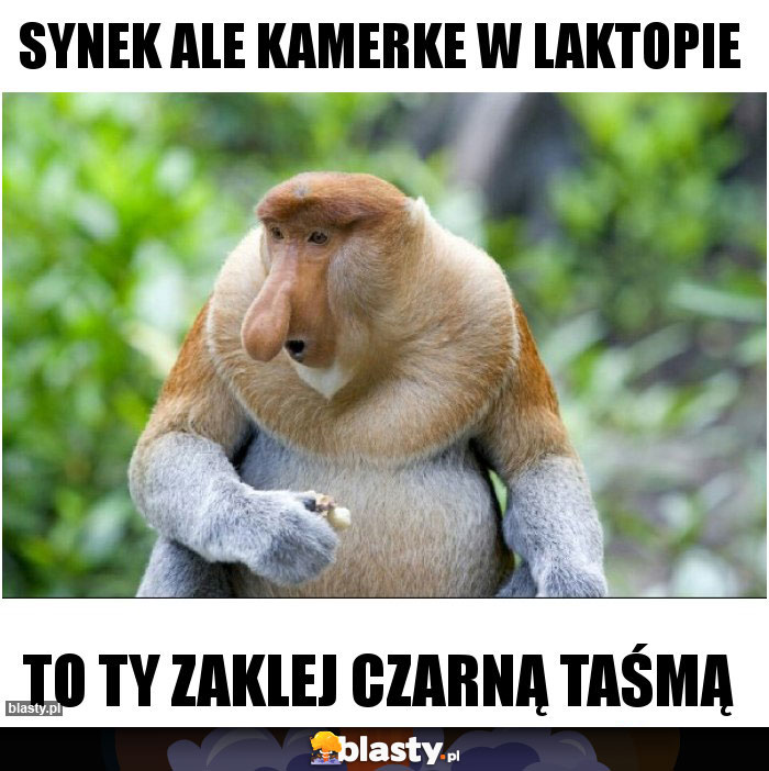 Synek ale kamerke w laktopie