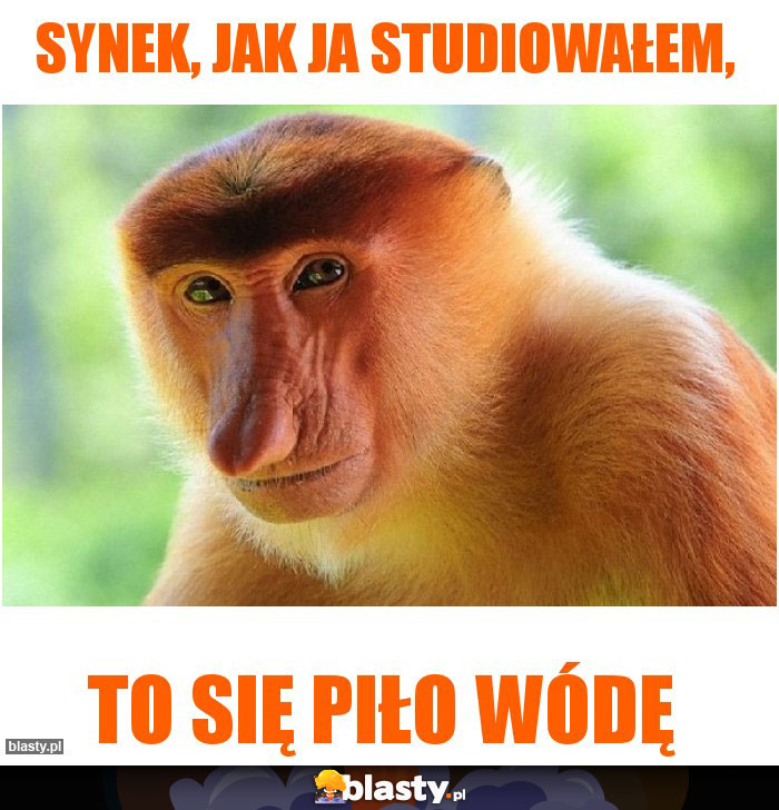 Synek, jak ja studiowałem,