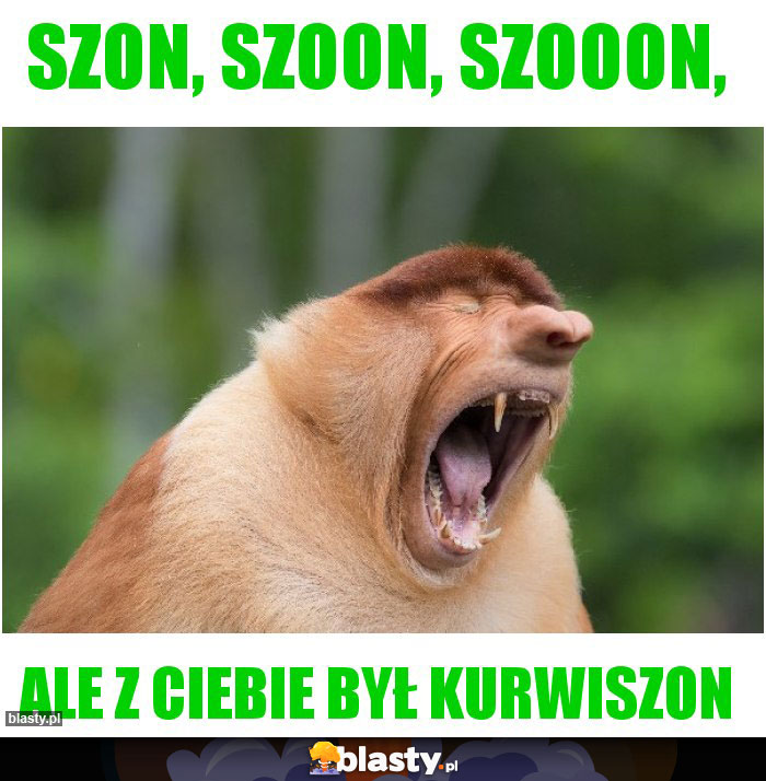 Szon, szoon, szooon,