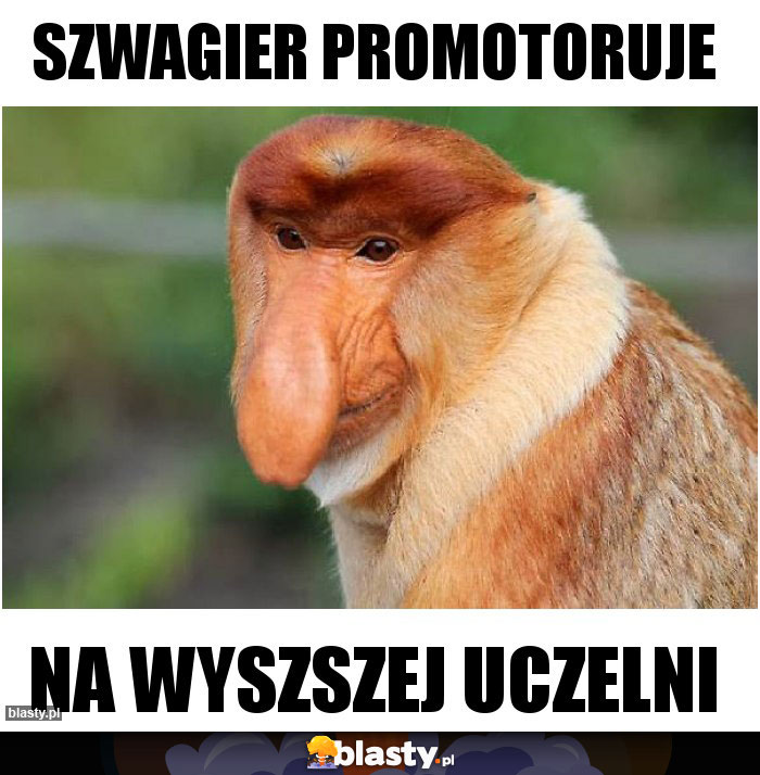 Szwagier promotoruje