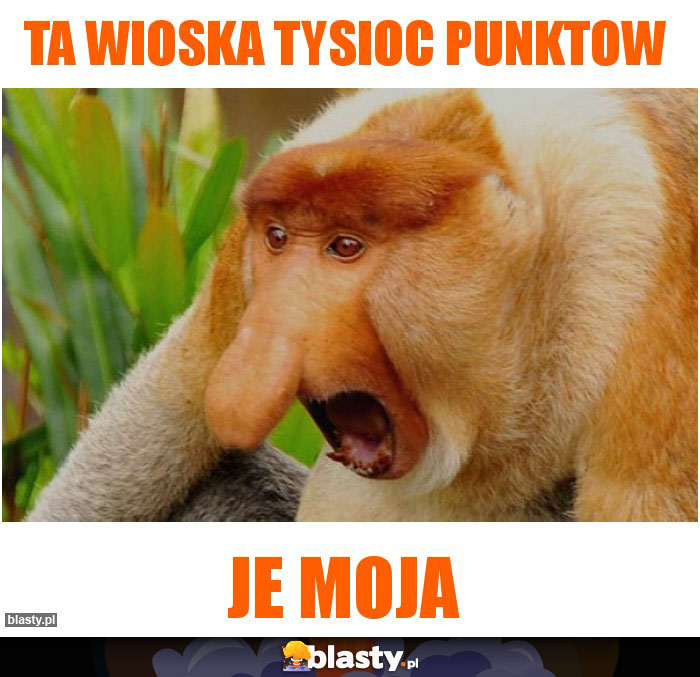 ta wioska tysioc punktow