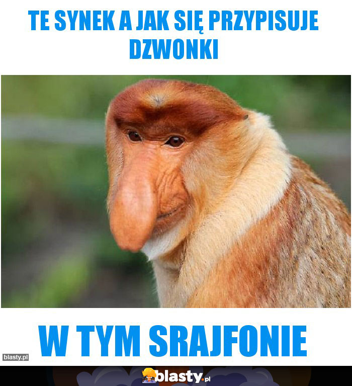 te synek a jak się przypisuje dzwonki