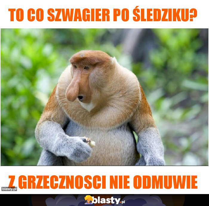 To co szwagier po śledziku?