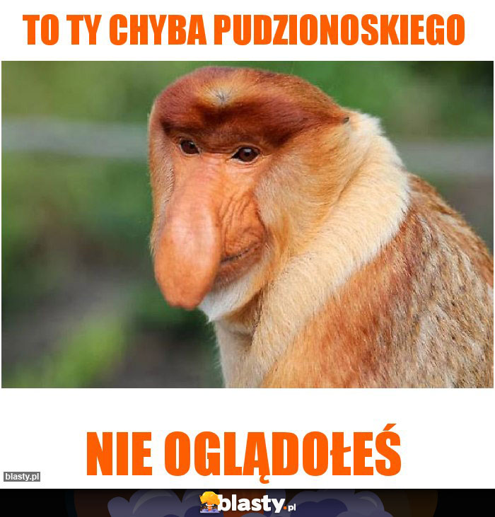 To Ty chyba Pudzionoskiego