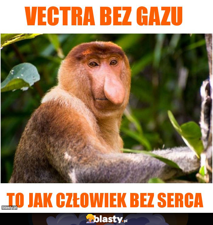 Vectra bez gazu