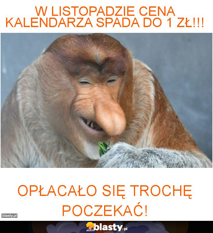 W listopadzie cena kalendarza spada do 1 zł!!!