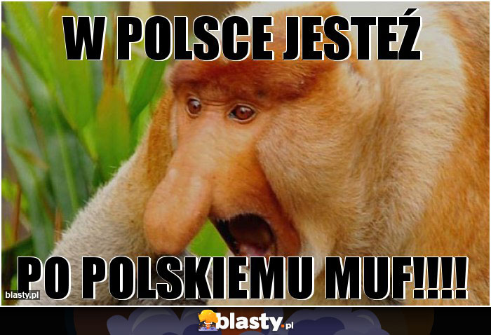 W POLSCE JESTEŹ