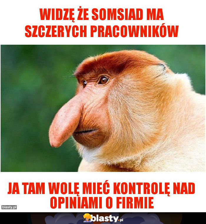 widzę że somsiad ma szczerych pracowników