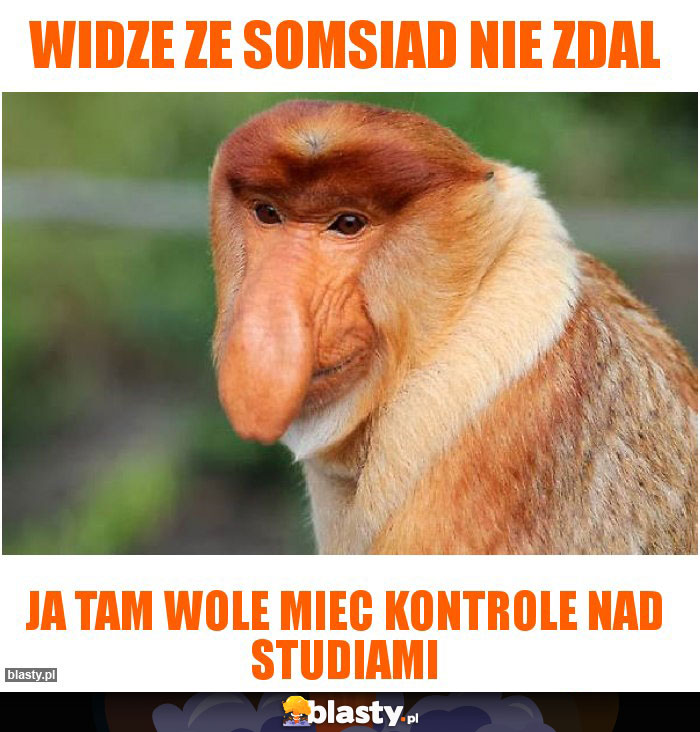 Widze ze somsiad nie zdal