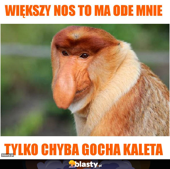 większy nos to ma ode mnie