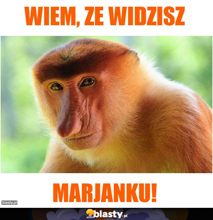 WIem, ze widzisz